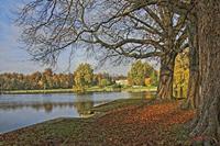 Cjp_2009_10_29_155350 (1)_HDR-D2.jpg